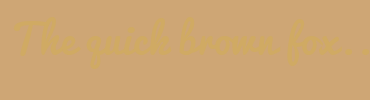 Image with Font Color D0AA63 and Background Color CEA675